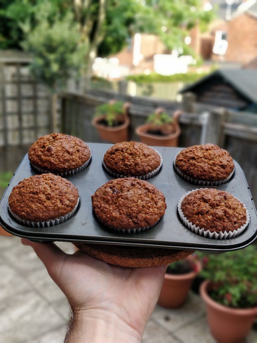 oh my god twitter doesn’t include alt text from images in their API